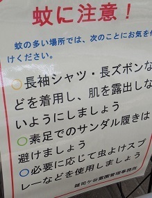 IMGP7789.JPG