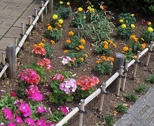 IMGP7793.JPG