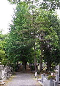 IMGP7799.JPG