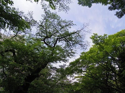 IMGP7958.JPG