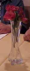IMGP7962.JPG