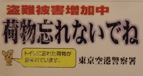 IMGP8155.JPG