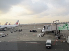 IMG_0007.JPG