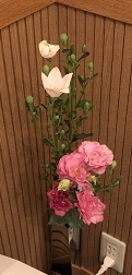 IMG_0007.JPG