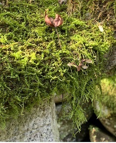 IMG_0032.JPG