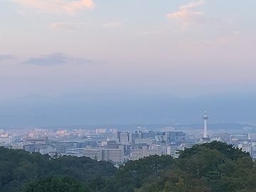 IMG_0184.JPG