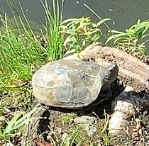 IMG_0686.JPG