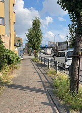 IMG_0728.JPG
