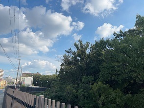 IMG_0737.JPG