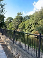 IMG_0747.JPG