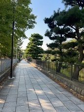 IMG_0749.JPG