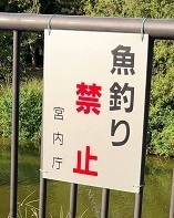 IMG_0750.JPG