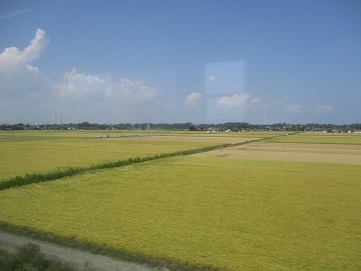 IMG_0867.JPG