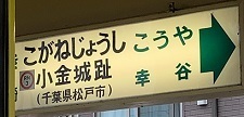 IMG_1034.JPG