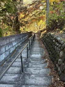 IMG_1143.JPG