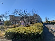 IMG_1162.JPG