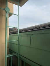 IMG_1271.JPG