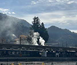 IMG_1297.JPG