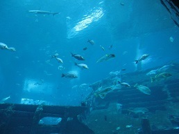 IMG_1513.JPG