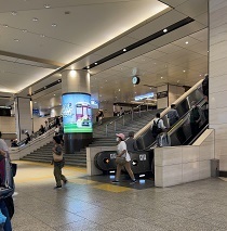 IMG_1582.JPG