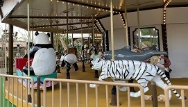 IMG_1584.JPG