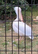 IMG_1586.JPG