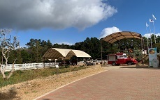 IMG_1587.JPG