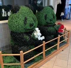 IMG_1603.JPG