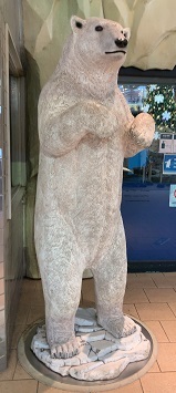 IMG_1604.JPG