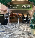 IMG_1612.JPG