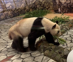 IMG_1663.JPG