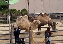 IMG_1681.JPG