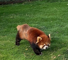 IMG_1684.JPG