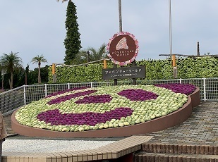 IMG_1687.JPG
