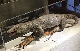 IMG_1774.JPG