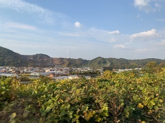 IMG_1848.JPG