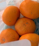 IMG_1889.JPG