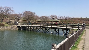 IMG_1922.JPG