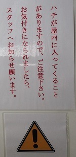 IMG_1956.JPG