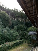 IMG_2047.JPG
