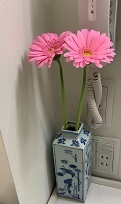 IMG_2098.JPG