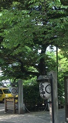 IMG_2396.JPG