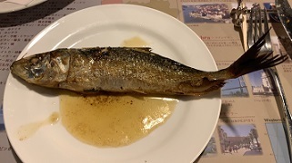 IMG_2474.JPG