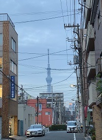 IMG_2603.JPG