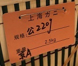 IMG_2888.JPG