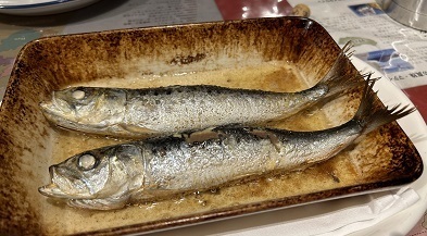 IMG_2889.JPG