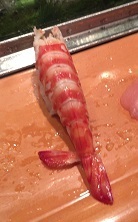 IMG_2978.JPG