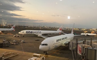 IMG_3100.JPG