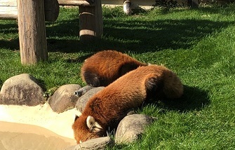 IMG_3193.JPG