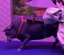 IMG_3210.JPG
